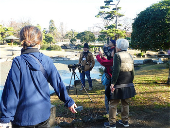 バードウオッチングしているみなさん