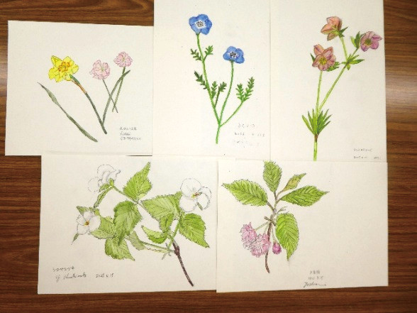前回「春の花を描こう」 参加者作品