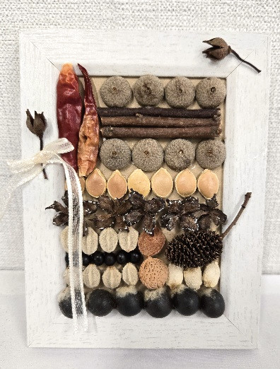 種の額イメージ