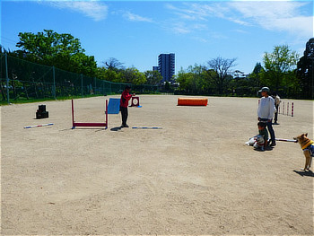 ドッグトレーナーの先生が参加者に説明しています