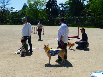 ワンちゃん達と飼い主さん達
