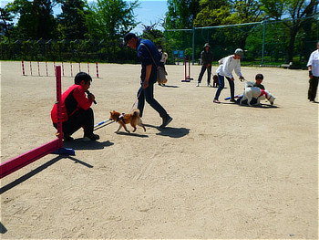ワンちゃん達と飼い主さん達