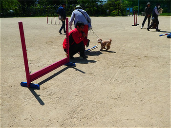 ワンちゃんと飼い主さん
