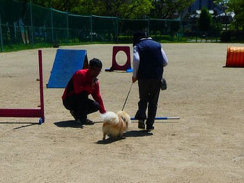 ワンちゃんと飼い主さん