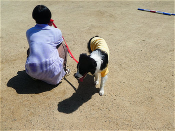 ワンちゃんと飼い主さん