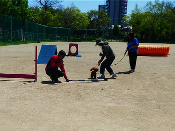 ワンちゃんと飼い主さん