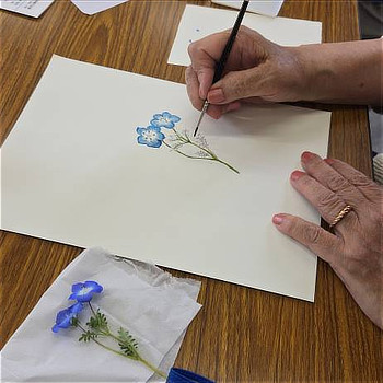 ボタニカルアートを描いています