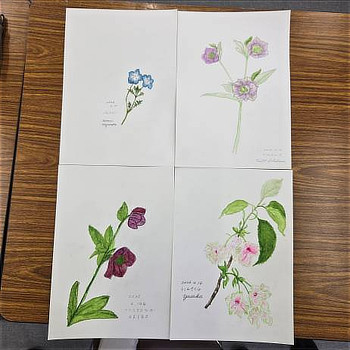 完成したボタニカルアートたち