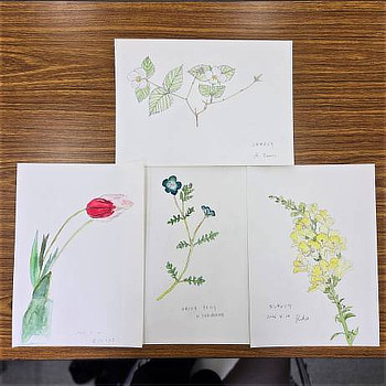 完成したボタニカルアートたち