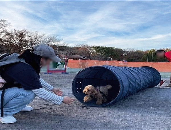エクストリームミニミニ体験の様子