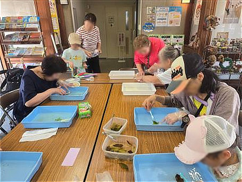 トレーの中で葉を優しくこすって葉脈を取り出す作業に真剣に取り組む参加者たちの様子