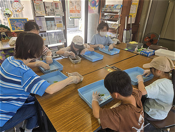 トレーの水に浸した葉をブラシや歯ブラシで丁寧にこすって葉脈を取り出す子供と大人たち