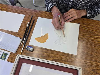 黄色く色づいたイチョウの葉の横に、鉛筆で忠実に実物大の下絵を描き写す手元