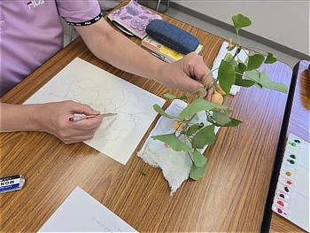 実が付いたイチョウの枝を手に取り角度を確認しながら、鉛筆で用紙に細かく下絵を描き進める手元