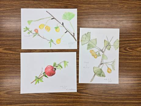ボタニカルアート体験講座で完成した、イチョウやカキ、ザクロの実と枝を描いた3点の作品
