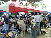 すみすみ公園フェスタ2013 すみすみ公園フェスタ2011