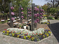 住吉公園では花壇が花盛り 住吉公園では花壇が花盛り