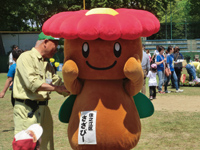 すみのえハート♥スタジアム2014 すみのえハート♥スタジアム2014