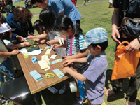 住之江・住吉公園 ヒーリングガーデナークラブ(HGC)活動報告 住之江・住吉公園 ヒーリングガーデナークラブ(HGC)活動報告