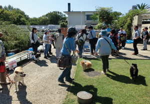 まちの公園新聞 2015秋号（まちの公園新聞記事内容ご紹介）