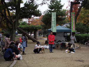 まちの公園新聞 2017 冬号