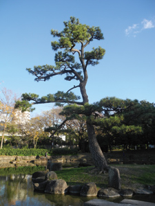 まちの公園新聞 2017 冬号