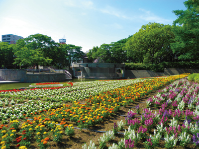 まちの公園新聞リニューアル　住吉公園　2017なつ