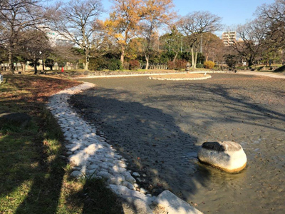 心字池の池底調査のため、減水しています。しばらくの間ご迷惑を おかけします