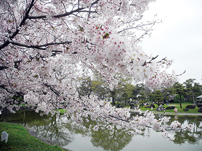 住吉公園さくらカーニバル