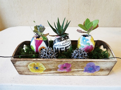 卵をデコし多肉植物を植えよう