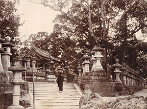 住吉神社 御田