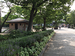 現在の汐掛道の風景