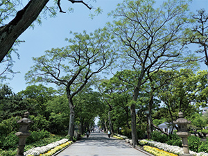 現在の汐掛道の風景