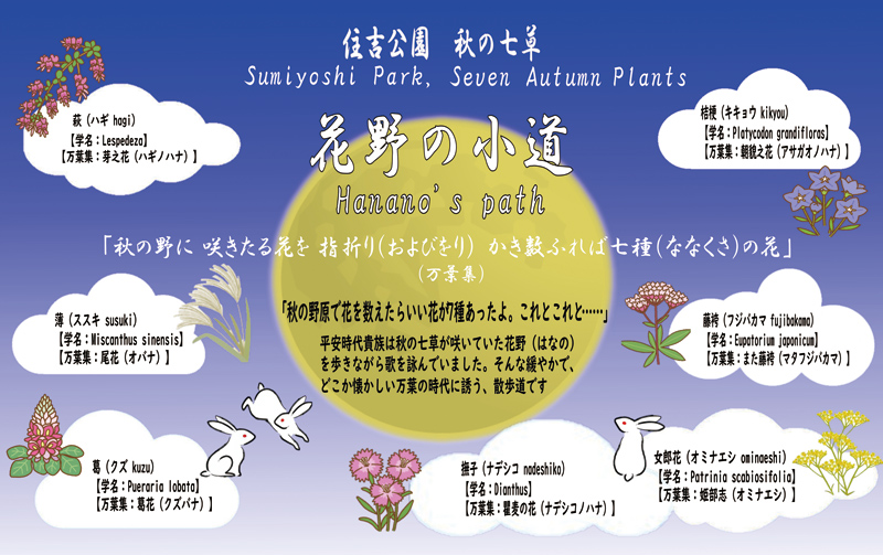 花野の小道チラシ画像