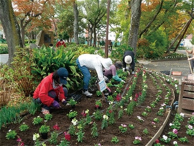 庭いじりのイメージ