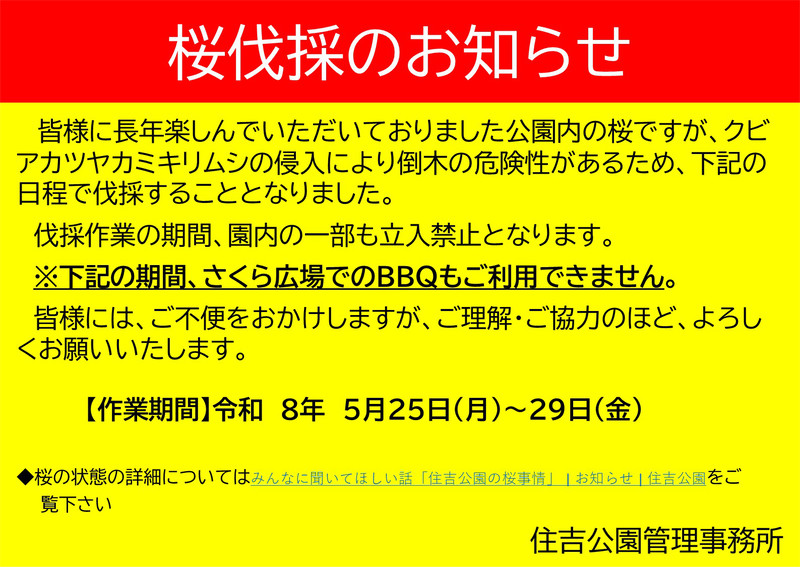 「桜伐採のお知らせ」のチラシ画像