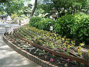 花壇づくりの花壇 花壇づくりの花壇