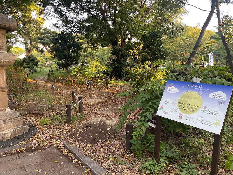 花野の小道