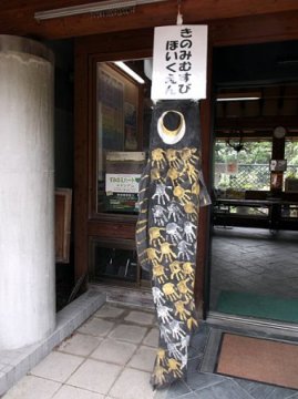 鯉のぼり写真と制作風景 2012年 住吉公園#11