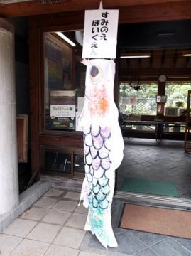 鯉のぼり写真と制作風景 2012年 住吉公園#15