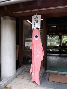 鯉のぼり写真と制作風景 2012年 住吉公園#5