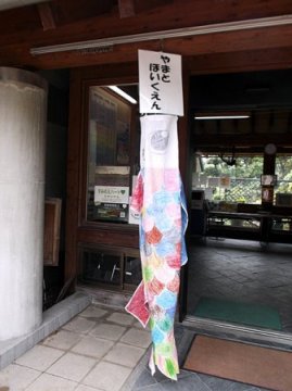 鯉のぼり写真と制作風景 2012年 住吉公園#18