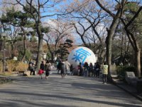 気流魂 in 住吉公園